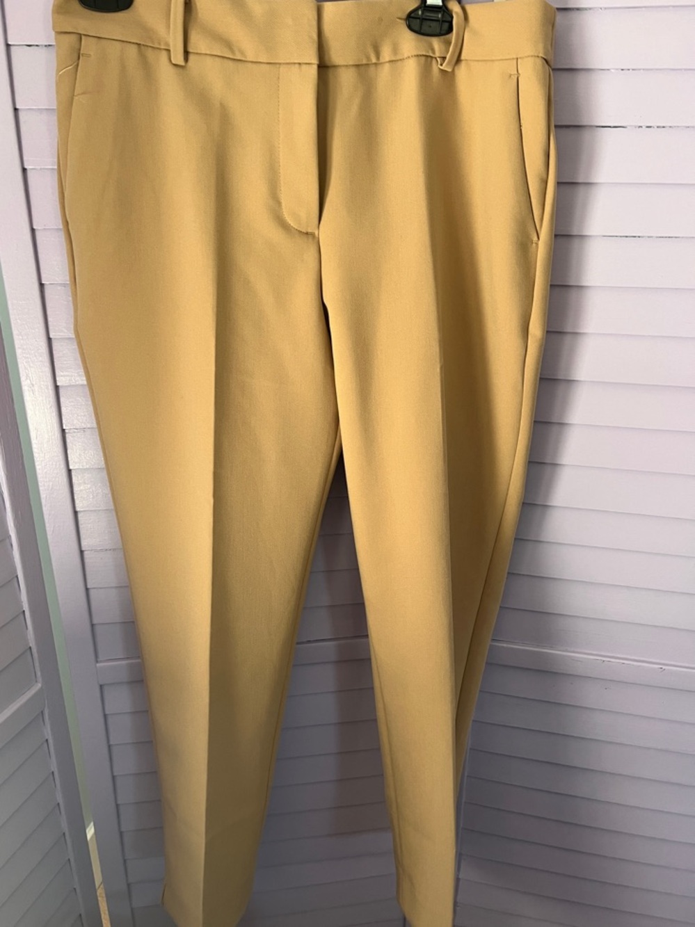TALBOTS Tailored Dress Pants - CAMEL COLORED HAMPSHIRE ankle . Curvy 8P